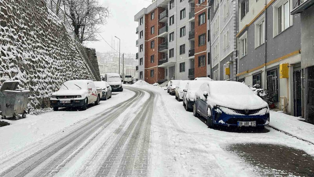 Artvin’de Kar Etkili Oluyor