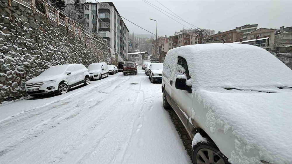Artvin’de Kar Etkili Oluyor