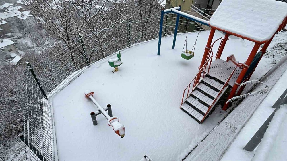 Artvin’de Kar Etkili Oluyor