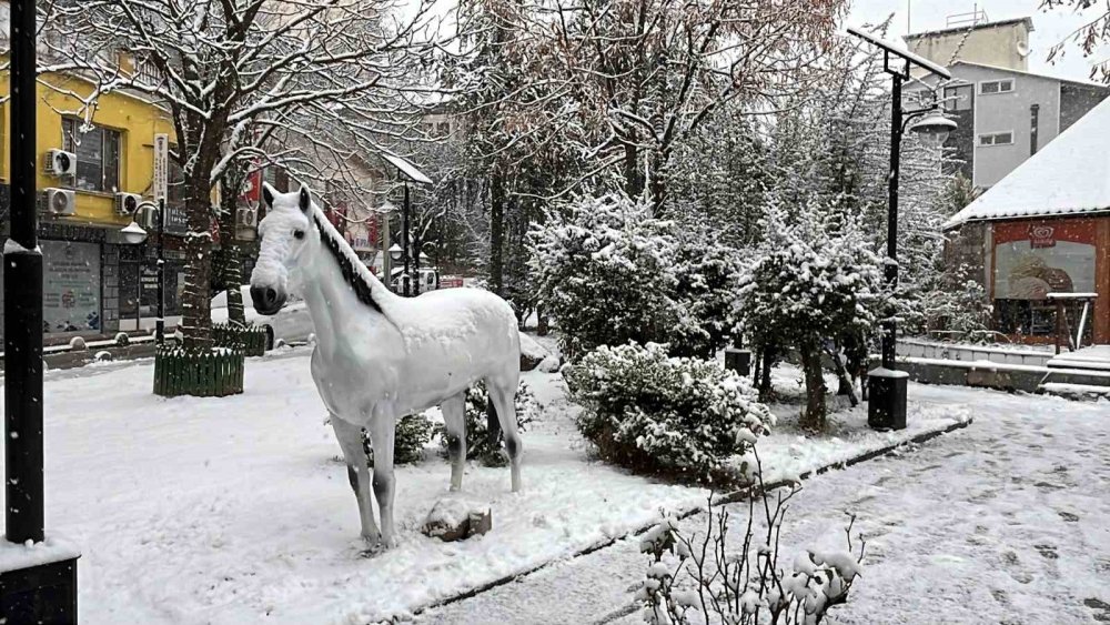 Artvin’de Kar Etkili Oluyor