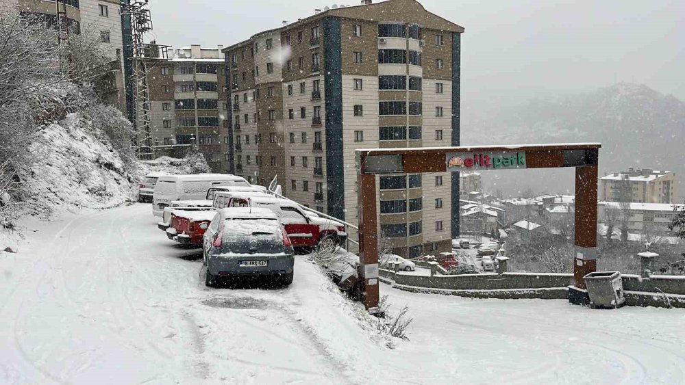 Artvin’de Kar Etkili Oluyor