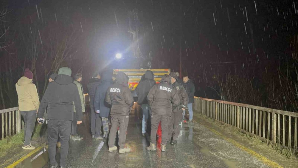 Otomobil Çaya Uçtu: Baba ve Oğlu Hayatını Kaybetti