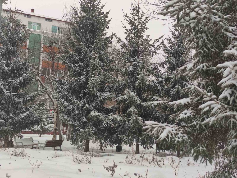 Ardahan’da 45 Köy Yolu Ulaşıma Kapandı