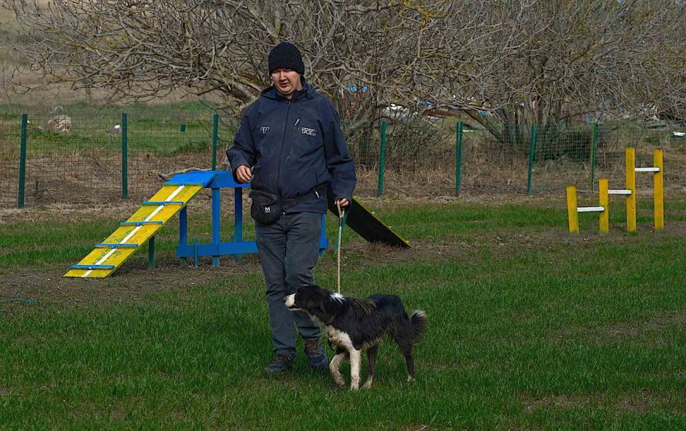 Kangal Ve Akbaştan Sonra Çobanlara Yeni Bir Yardımcı Geliyor
