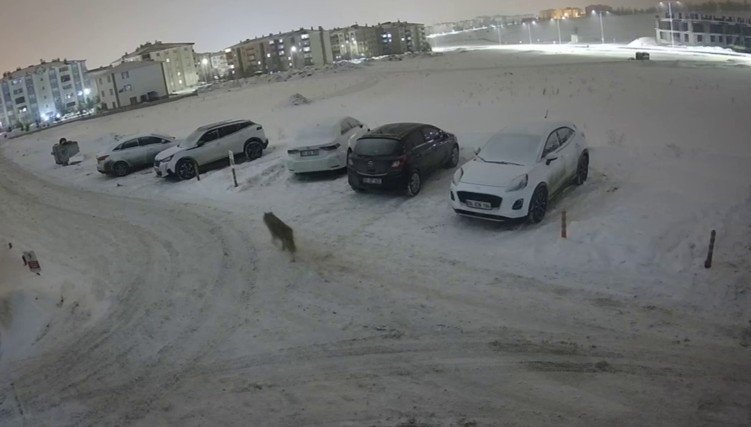 Erzurum’da Kurt Kent Merkezine İndi