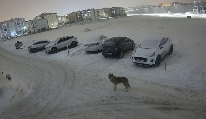 Erzurum’da Kurt Kent Merkezine İndi