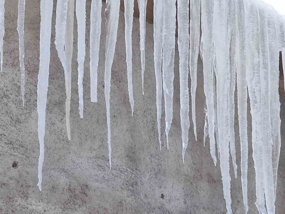 Sibirya Soğuklarının Etkili Olduğu Ardahan’da