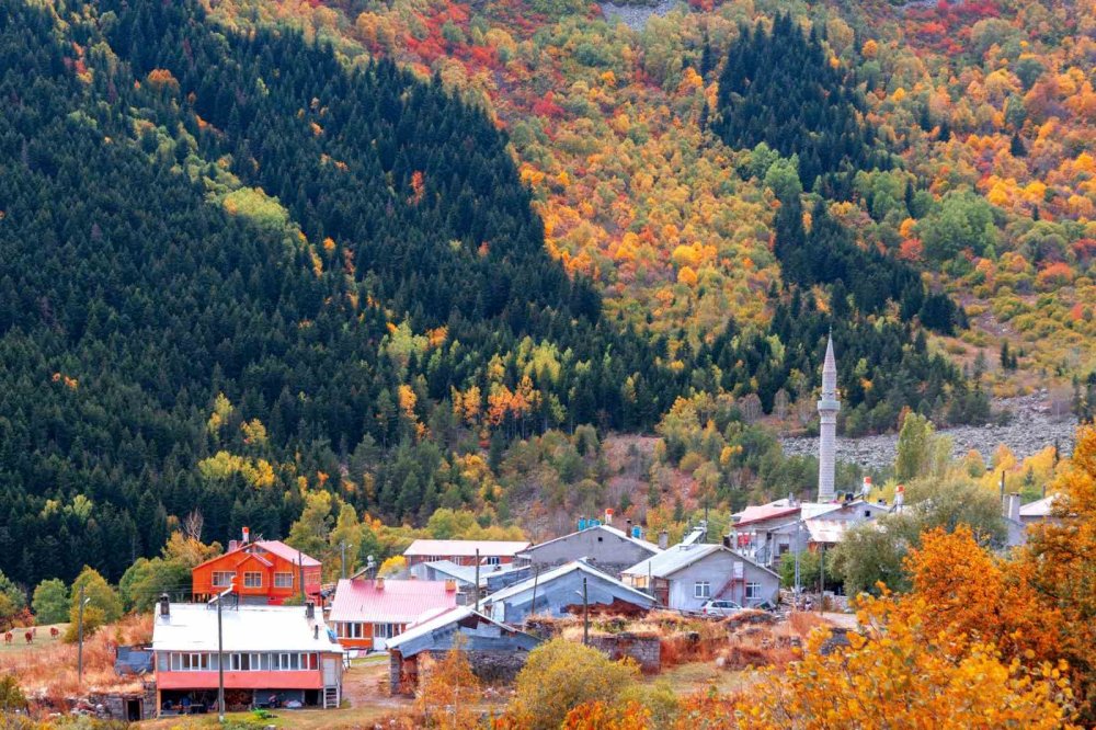 Posof’un, Sakin Şehir Yolculuğunda Önemli Aşama