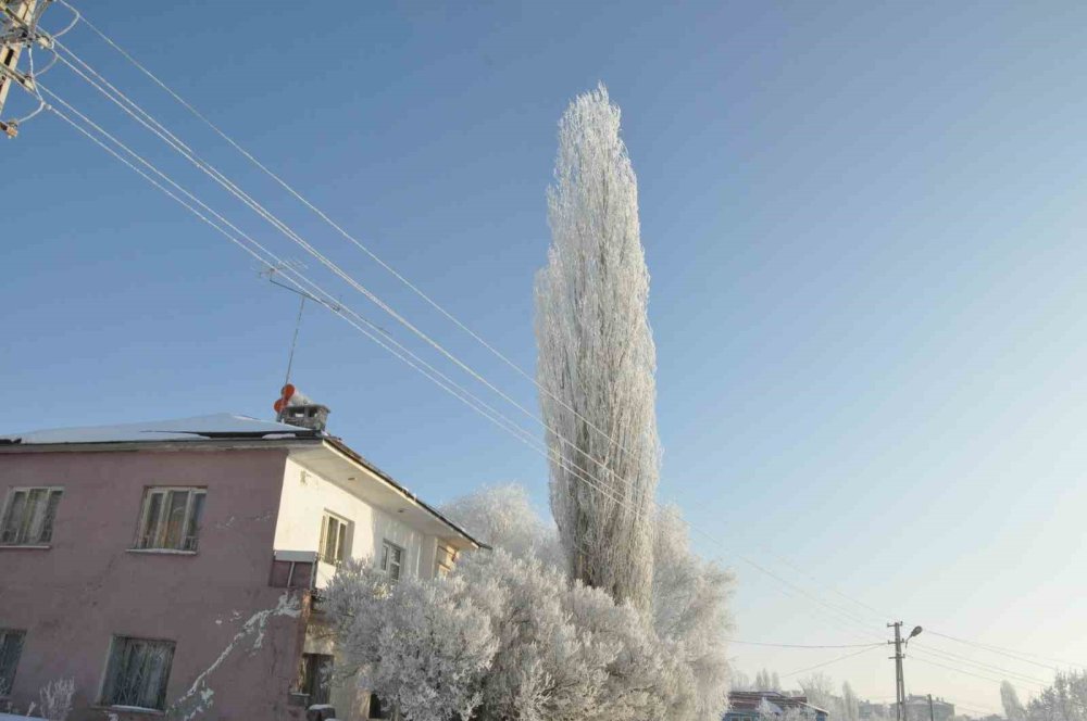 Kars’ta ‘beyaz Zerafet’