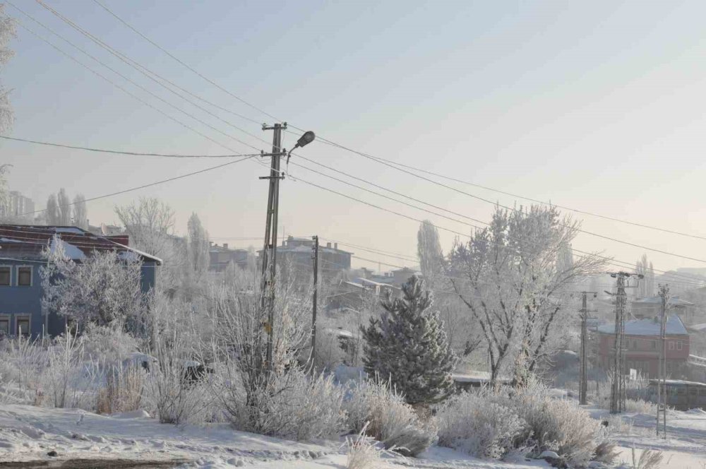 Kars’ta ‘beyaz Zerafet’