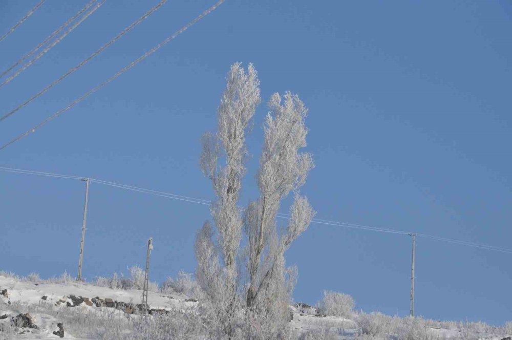 Kars’ta ‘beyaz Zerafet’