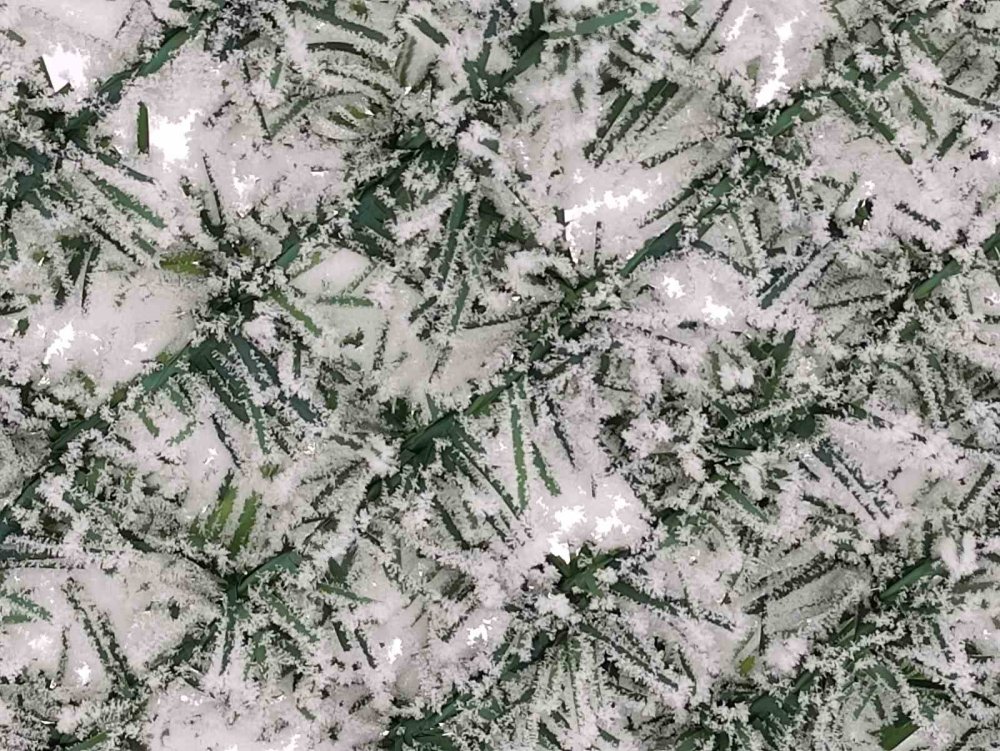 Ardahan Göle Eksi 20 Dereceyle Dondu