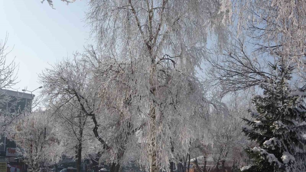 Ardahan’da Kış ve Kırağı Sonrası Görsel Şölen!