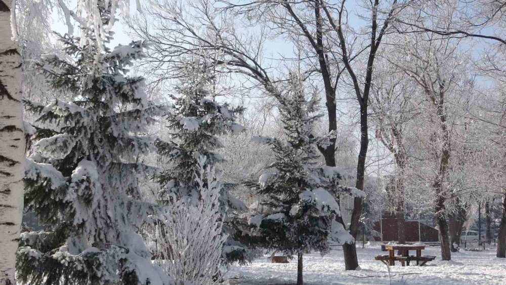 Ardahan’da Kış ve Kırağı Sonrası Görsel Şölen!