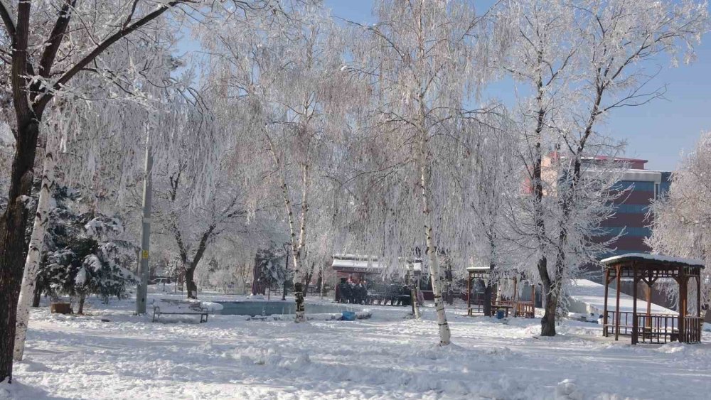 Ardahan’da Kış ve Kırağı Sonrası Görsel Şölen!