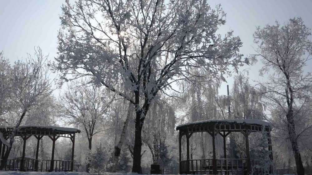 Ardahan’da Kış ve Kırağı Sonrası Görsel Şölen!