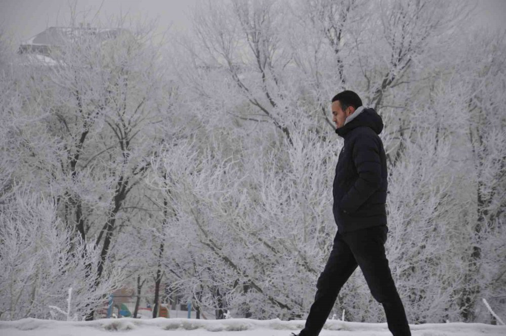 Kars’ta Soğuktan Ağaçlar Kırağı Tuttu