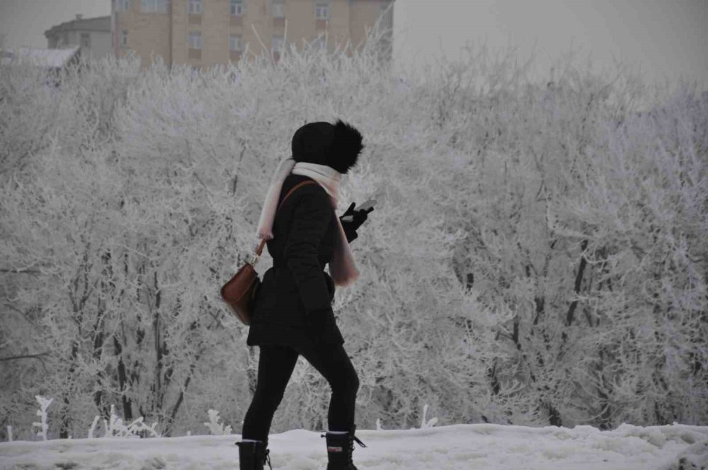 Kars’ta Soğuktan Ağaçlar Kırağı Tuttu