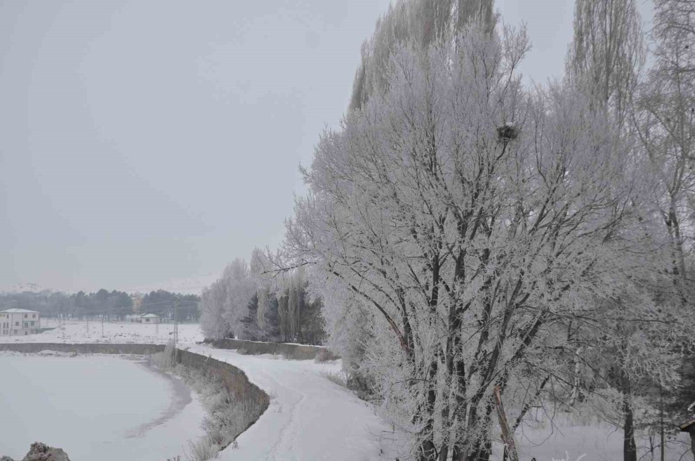 Kars’ta Soğuktan Ağaçlar Kırağı Tuttu