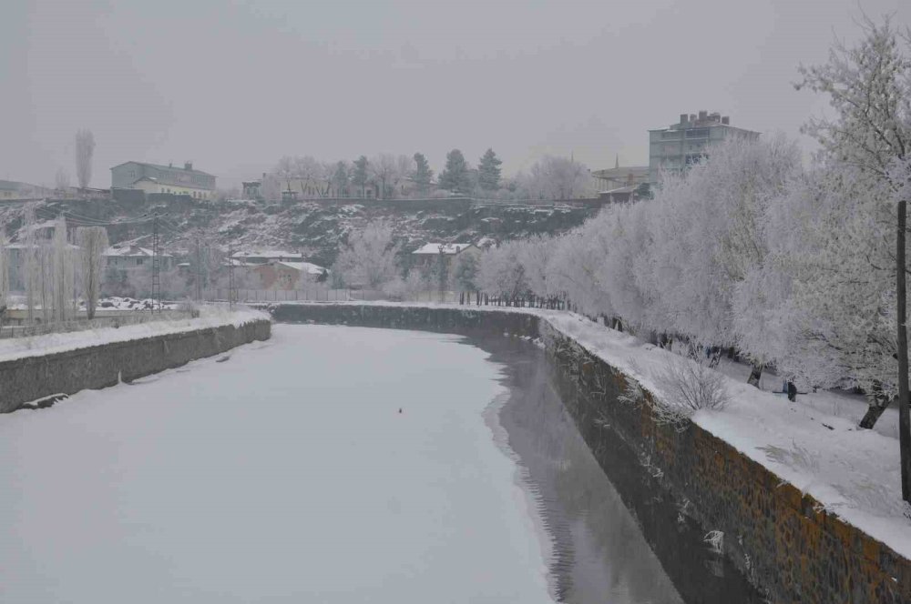 Kars’ta Soğuktan Ağaçlar Kırağı Tuttu