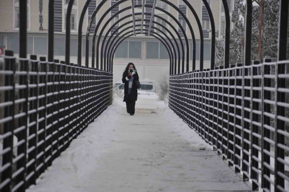 Kars’ta Soğuktan Ağaçlar Kırağı Tuttu