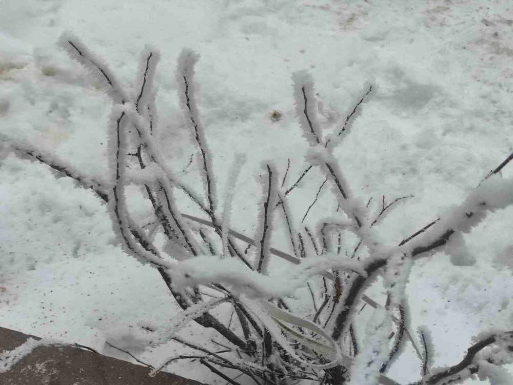 Dondurucu Soğukların Etkili Olduğu Ardahan’da Hayat Durma Noktasına Geldi