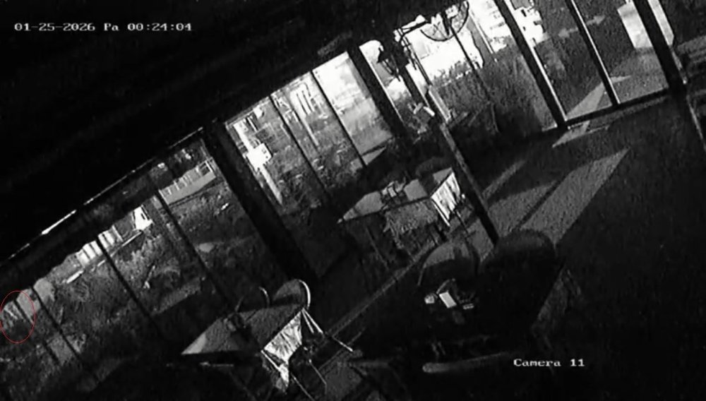 Kayıp Olarak Aranan Üniversite Öğrencisi Deniz İ̇bişler’in Denize Atladığı Görüntüler Ortaya Çıktı