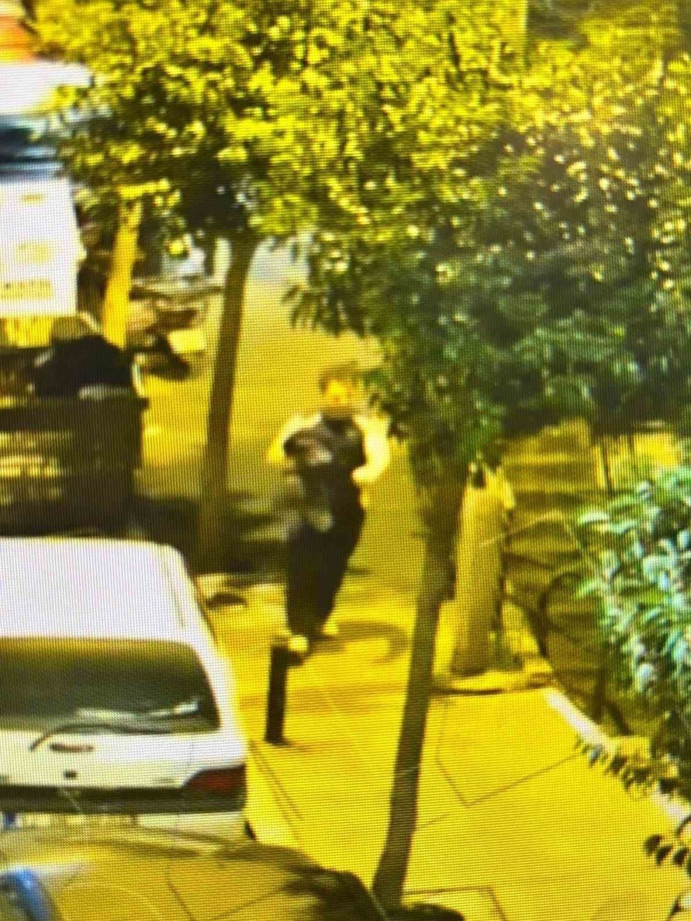 Kayıp Olarak Aranan Üniversite Öğrencisi Deniz İ̇bişler’in Denize Atladığı Görüntüler Ortaya Çıktı