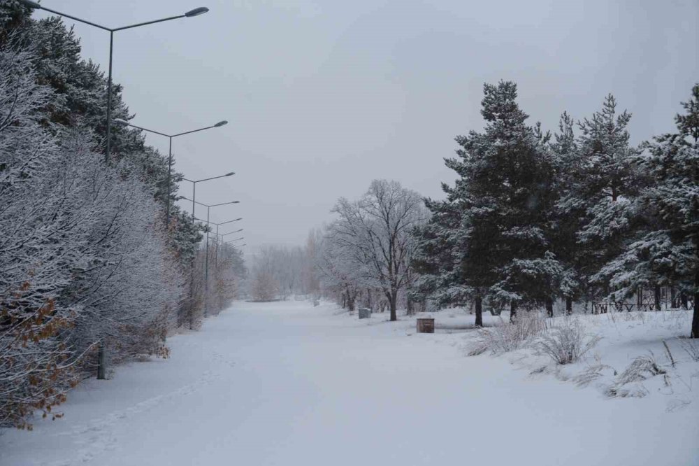 Erzurum’da Kar Yağışı Etkili Oluyor