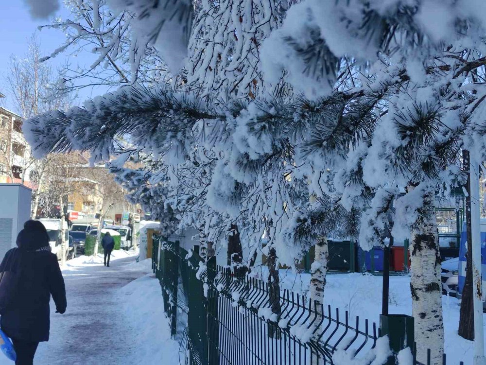 Ardahan’da Dondurucu Soğuk Ağaçları Kırağıyla Kapladı