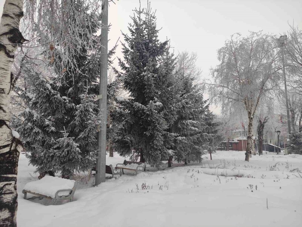 Ardahan’da Dondurucu Soğuk Ağaçları Kırağıyla Kapladı