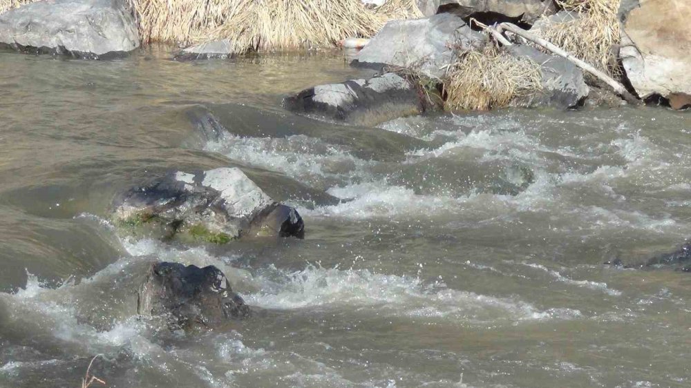 Kars Çayı’nda Erken Bahar.. Zemheri Beklenirken Buzlar Çözüldü!