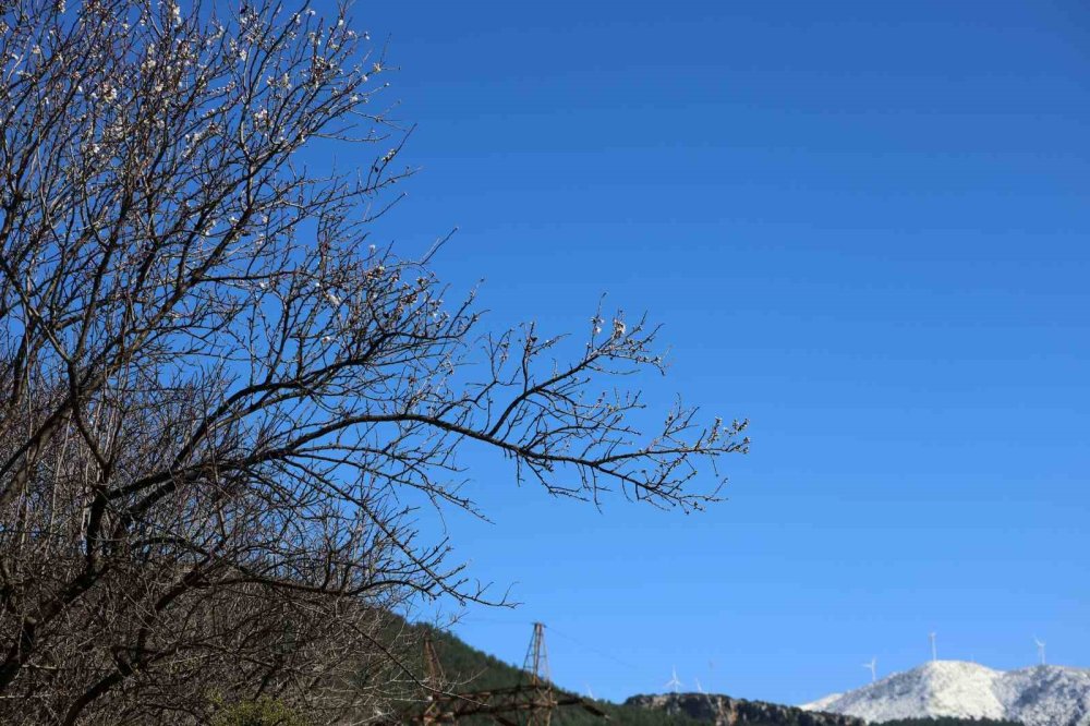 Muğla’da Kış Ve Bahar Aynı Karede
