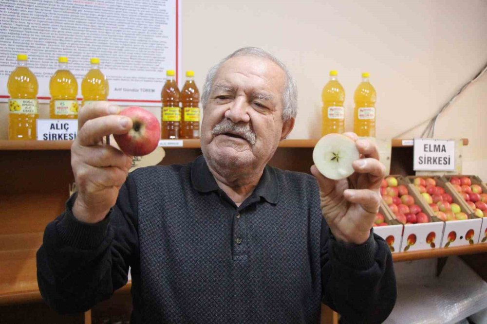 Amasya Misket Elması Tezgâhlarda Yok Satıyor.. Kilosu 150 TL!