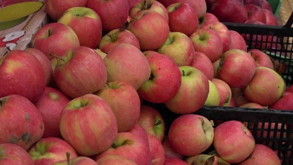 Amasya Misket Elması Tezgâhlarda Yok Satıyor.. Kilosu 150 TL!