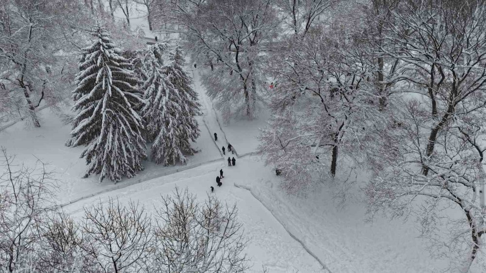 Abd’de Kar Fırtınası Hayatı Durma Noktasına Getirdi