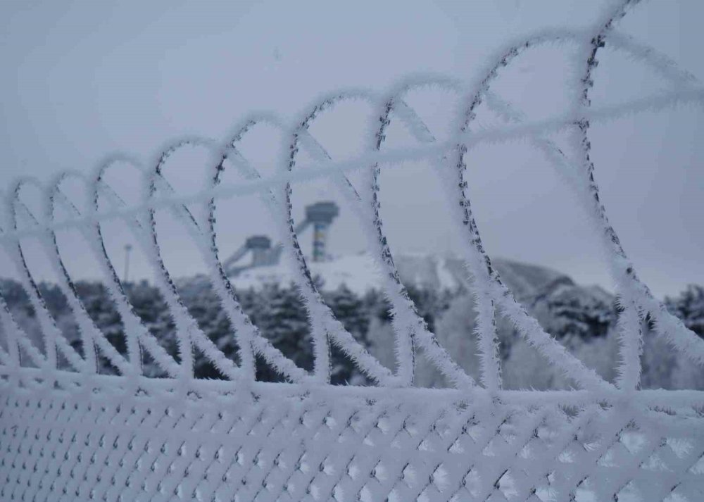Erzurum’da Soğuk Havanın Etkisiyle Ağaçlar Kırağı Tuttu