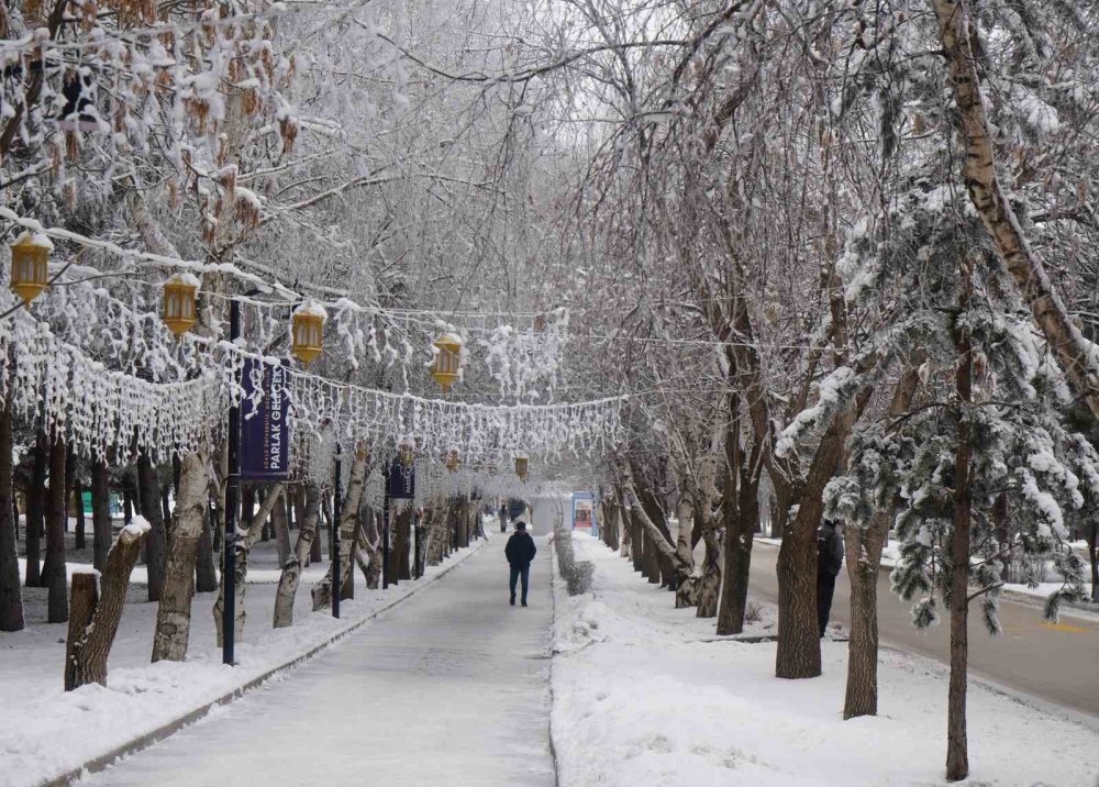 Erzurum’da Soğuk Havanın Etkisiyle Ağaçlar Kırağı Tuttu
