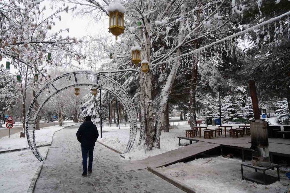 Erzurum’da Soğuk Havanın Etkisiyle Ağaçlar Kırağı Tuttu