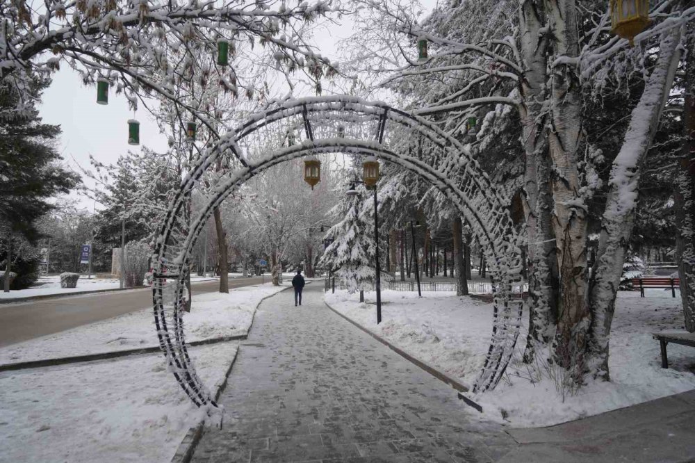 Erzurum’da Soğuk Havanın Etkisiyle Ağaçlar Kırağı Tuttu
