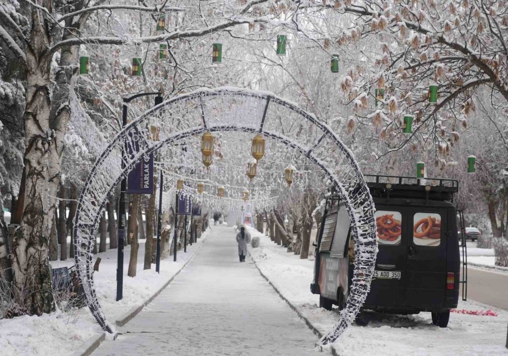 Erzurum’da Soğuk Havanın Etkisiyle Ağaçlar Kırağı Tuttu