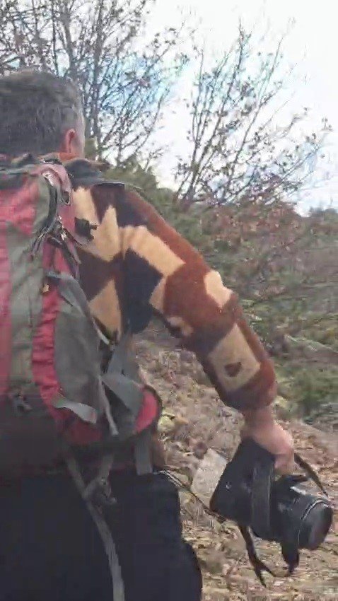 İspir’de Nefes Kesen Anlar.. Kış Uykusundan Uyanan Boz Ayı ile Karşılaştı!