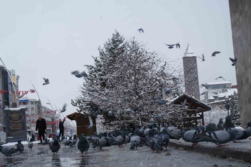 Erzurum’da Kar Yağışı Etkili Oluyor