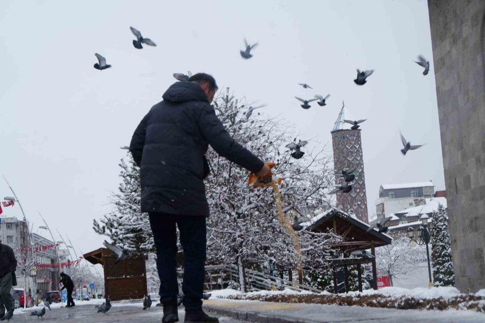 Erzurum’da Kar Yağışı Etkili Oluyor