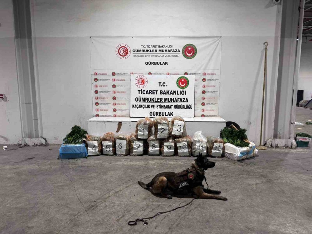 Gürbulak Sınır Kapısı’nda 51 Kilo 520 Gram Esrar Ele Geçirildi