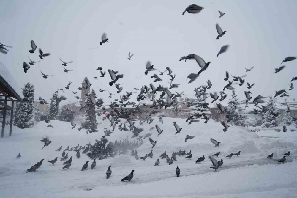 Kar Erzurum’u Esir Aldı, Araçlar Karın İçinde Kayboldu
