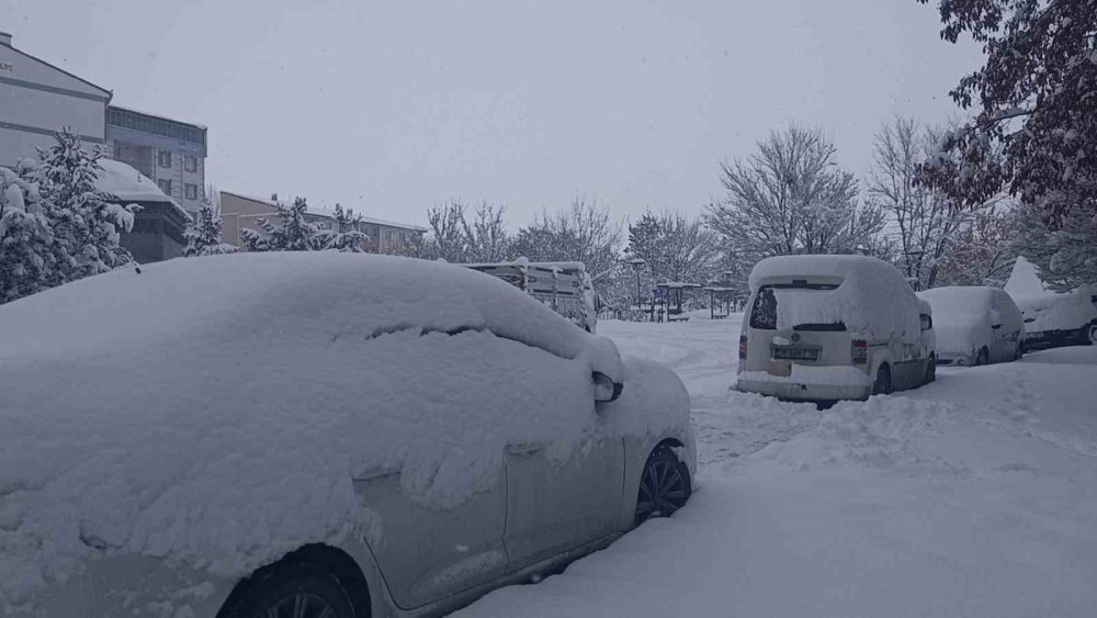 Kar ve Tipi Hayatı Durma Noktasına Getirdi.. 212 Köy Yolu Ulaşıma Kapandı!