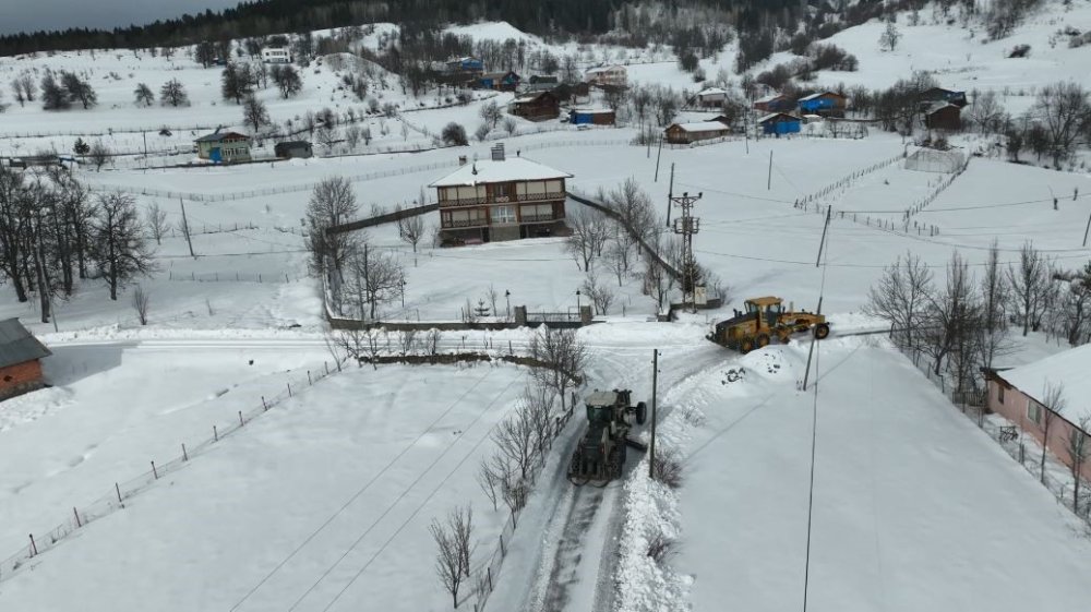 Artvin Orman Bölge Müdürlüğü’nden Karla Mücadeleye Destek