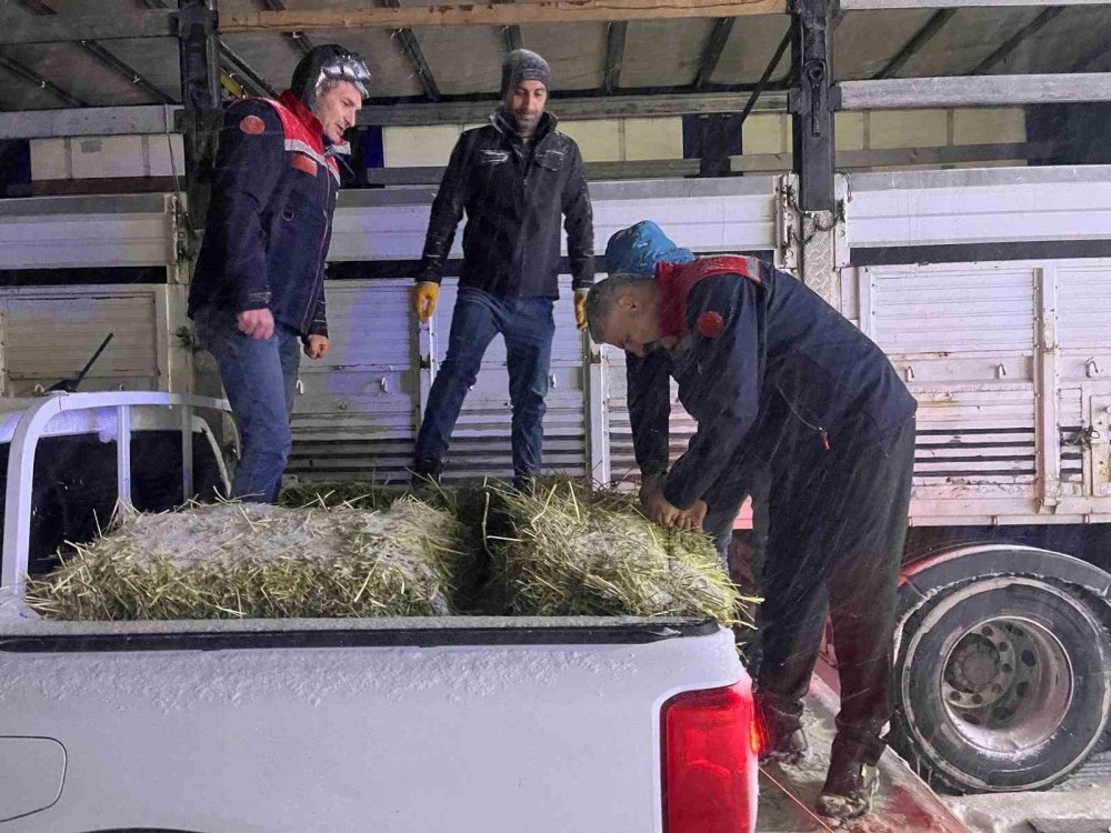 Kar Yağışı Üreticileri Zorladı.. Yolda Mahsur Kalan Hayvanlara Yem Ulaştırıldı!