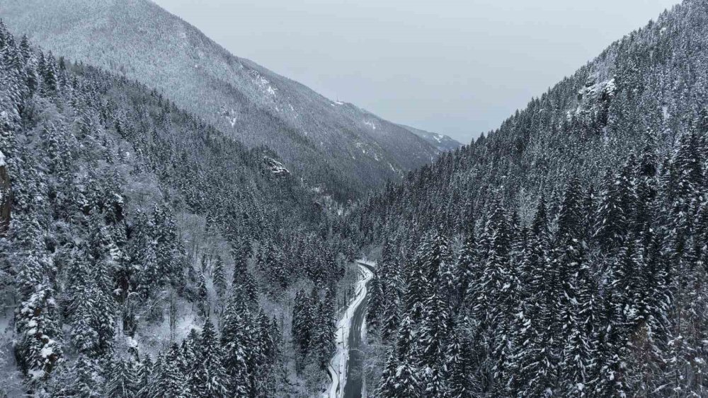 Sümela Manastırı Beyaza, Altındere Vadisi Sessizliğe Büründü
